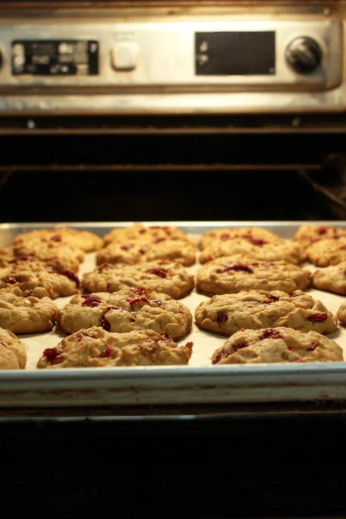 Blueberry Oatmeal Cookies
