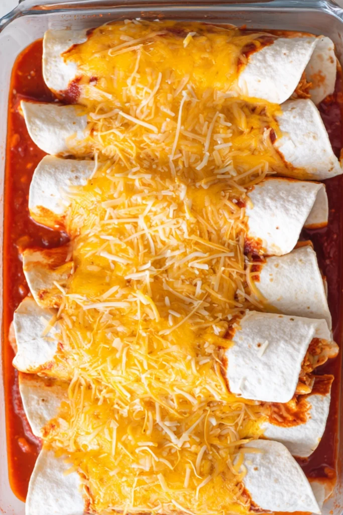 Shredded Chicken Enchiladas with Cheesy Sour Cream Sauce