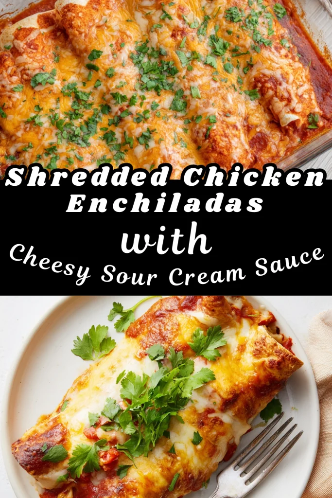 Shredded Chicken Enchiladas with Cheesy Sour Cream Sauce