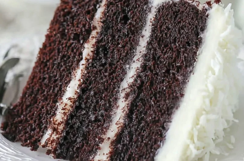 Delicious Chocolate Coconut Cake