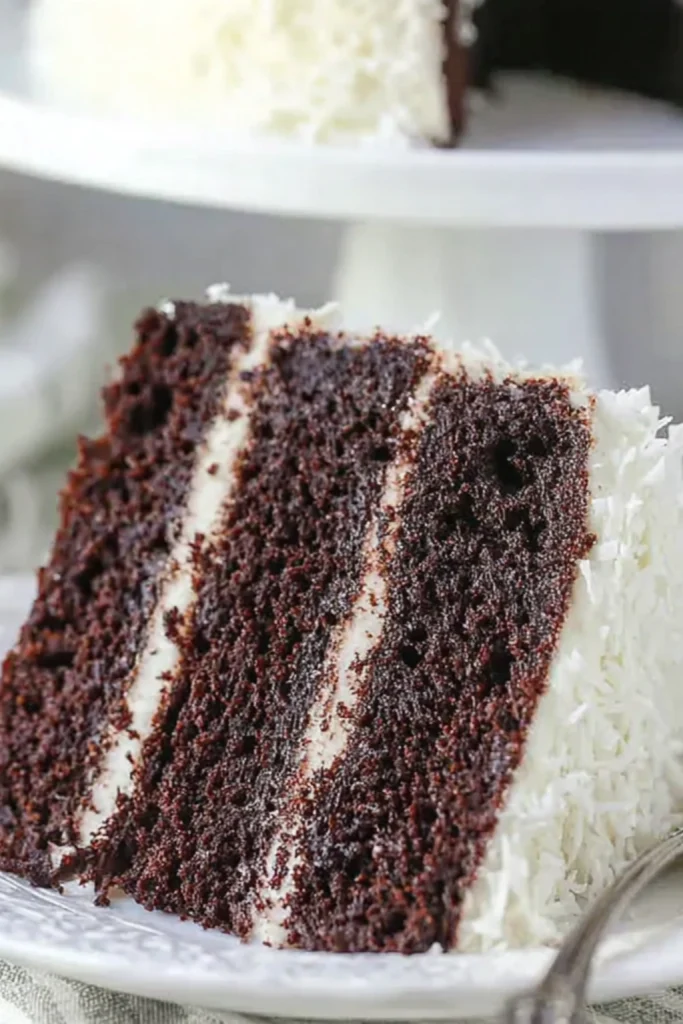 Delicious Chocolate Coconut Cake