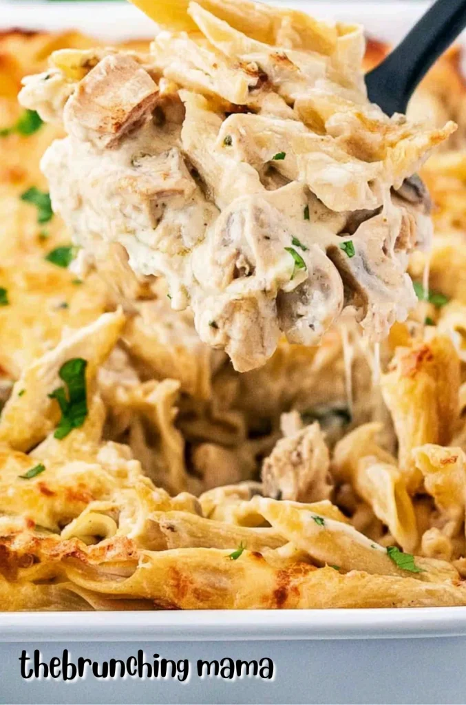 Creamy Chicken Alfredo Bake
