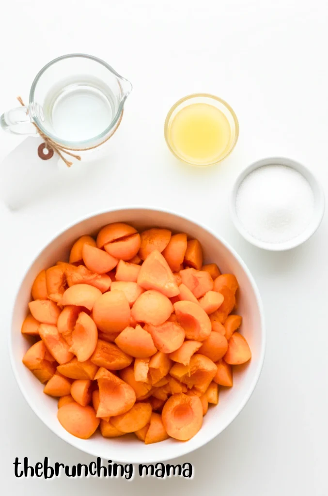 Homemade Apricot Jam