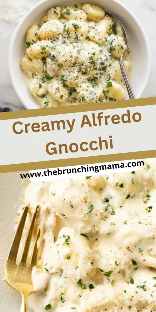 Easy Creamy Alfredo Gnocchi